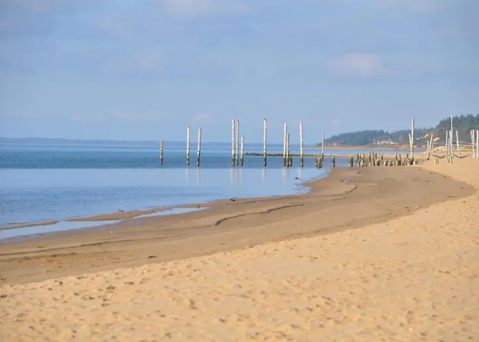 Esbjerg Camping Kamp alanı 3*